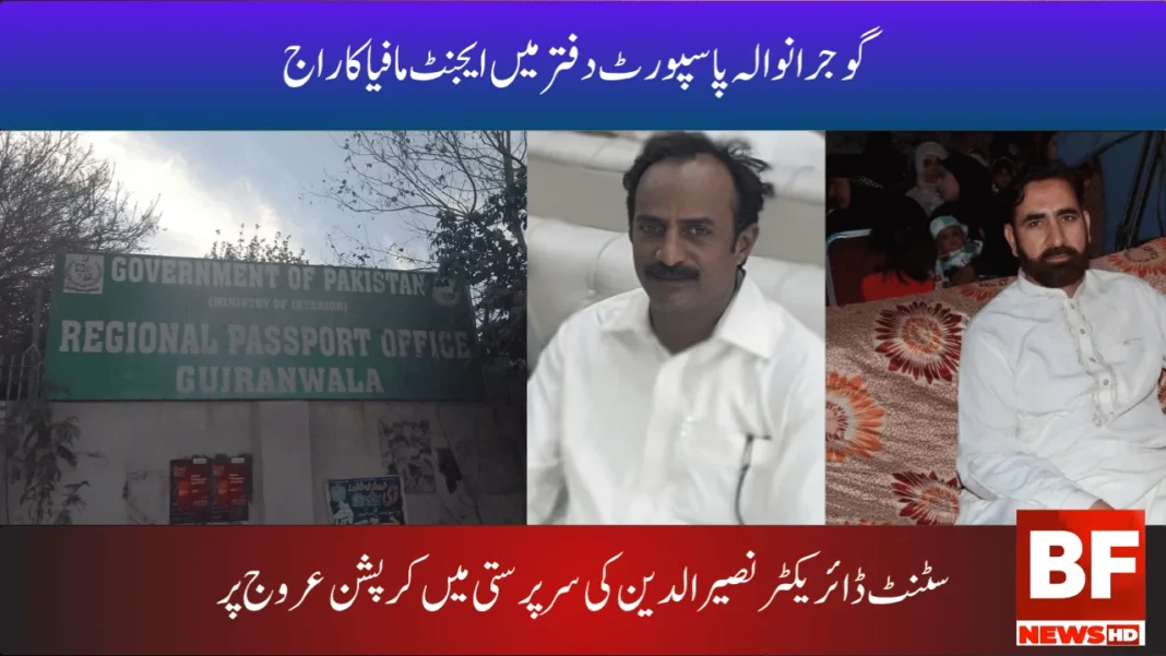 شیخوپورہ شہر اور نواحی علاقوں میں لاغرو بیمار جانوروں کے گوشت کی فروخت