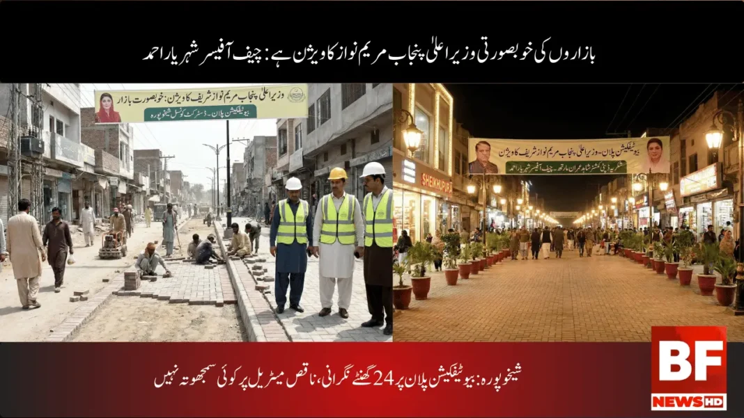 شیخوپورہ: بیوٹیفکیشن پلان پر 24 گھنٹے نگرانی، ناقص میٹریل پر کوئی سمجھوتہ نہیں