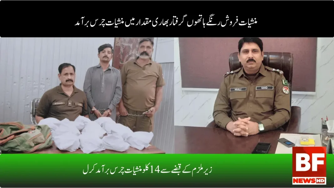 زیر ملزم کے قبضے سے 14 کلو منشیات چرس برآمد کر ل