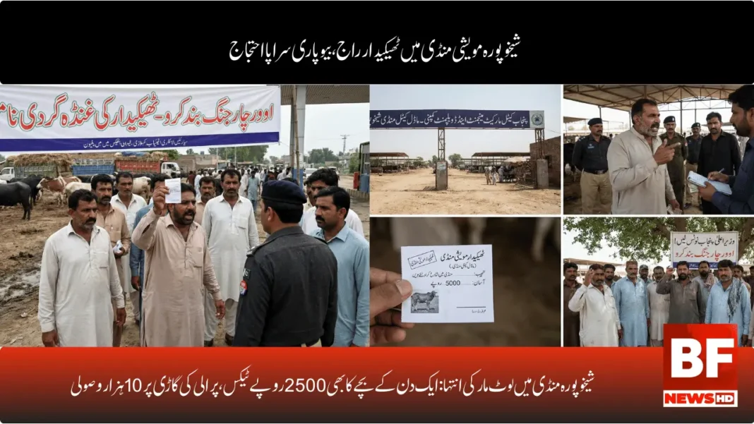 شیخوپورہ منڈی میں لوٹ مار کی انتہا: ایک دن کے بچے کا بھی 2500 روپے ٹیکس، پرالی کی گاڑی پر 10 ہزار وصولی